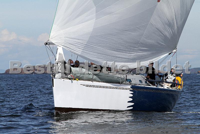 ORCi2 349.jpg